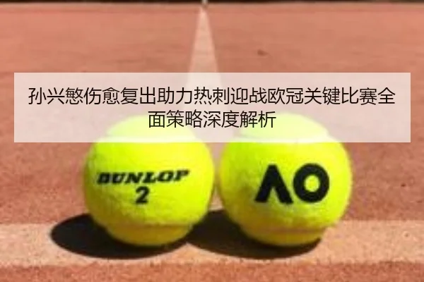 孙兴慜伤愈复出助力热刺迎战欧冠关键比赛全面策略深度解析 - 365 SPORTS
